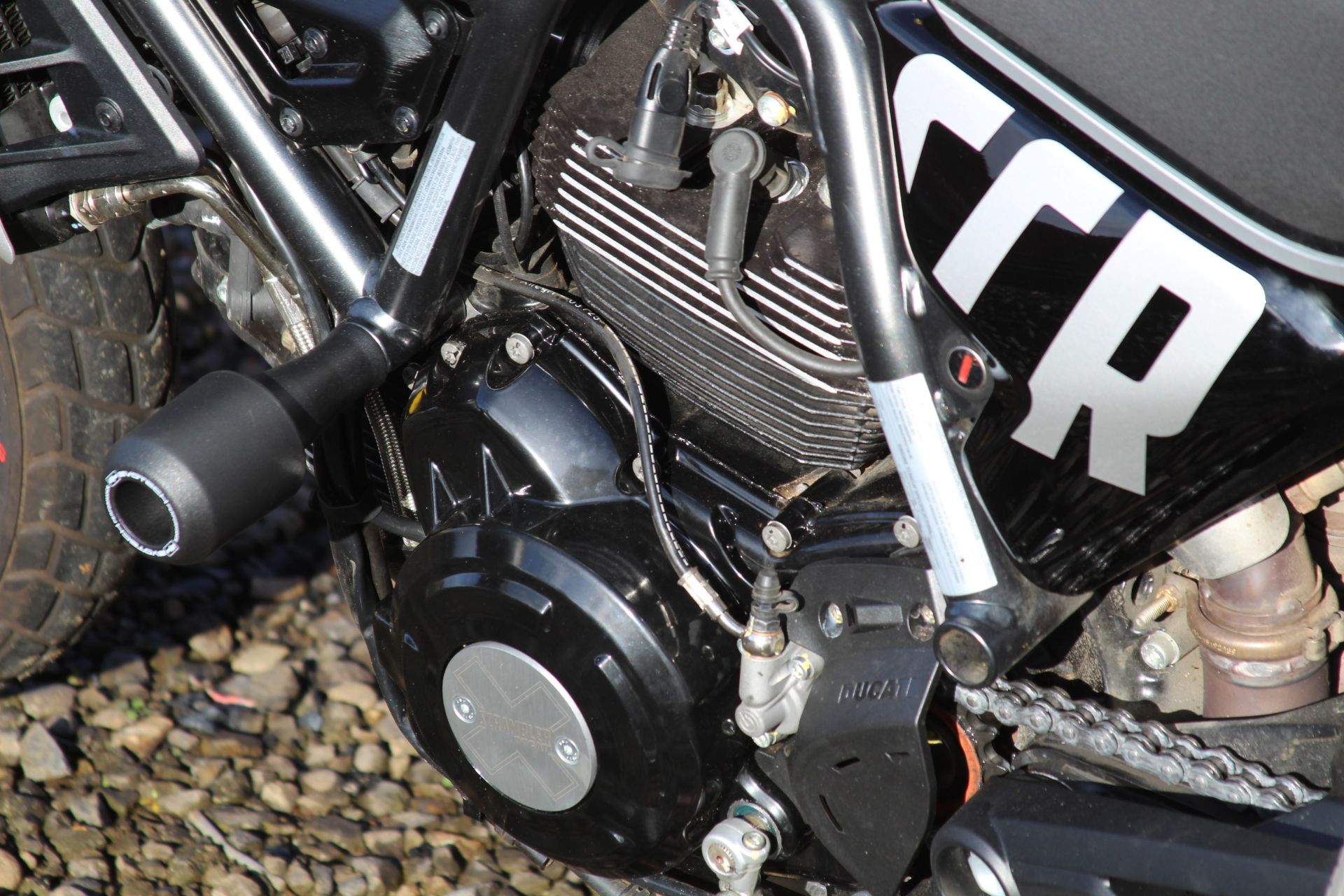 2024 Ducati Scrambler Icon in Portland, Oregon - Photo 7