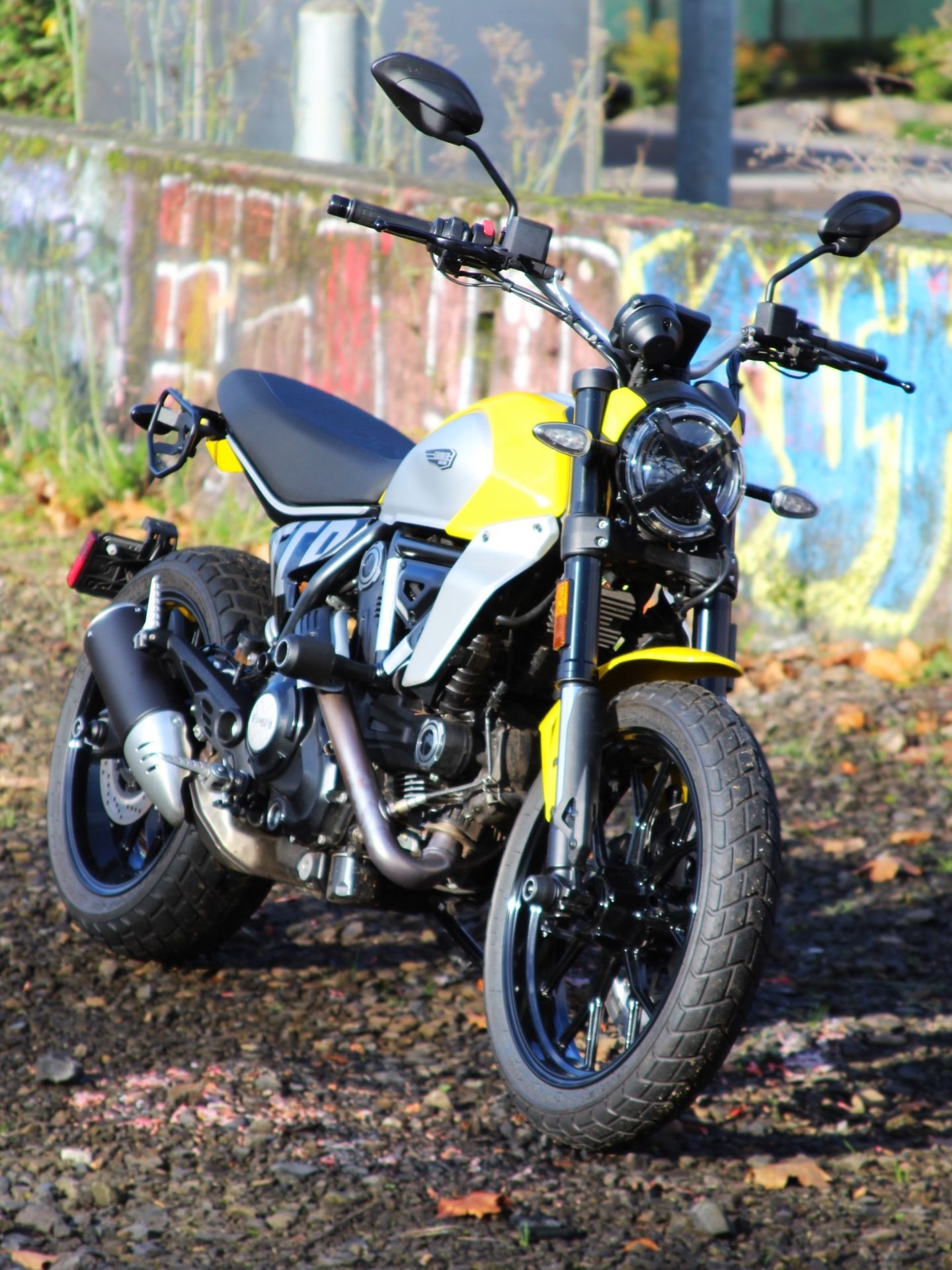 2024 Ducati Scrambler Icon in Portland, Oregon - Photo 1