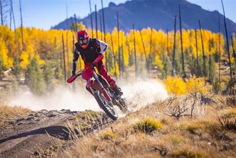 2026 Ducati Desmo450 EDX in Portland, Oregon - Photo 4