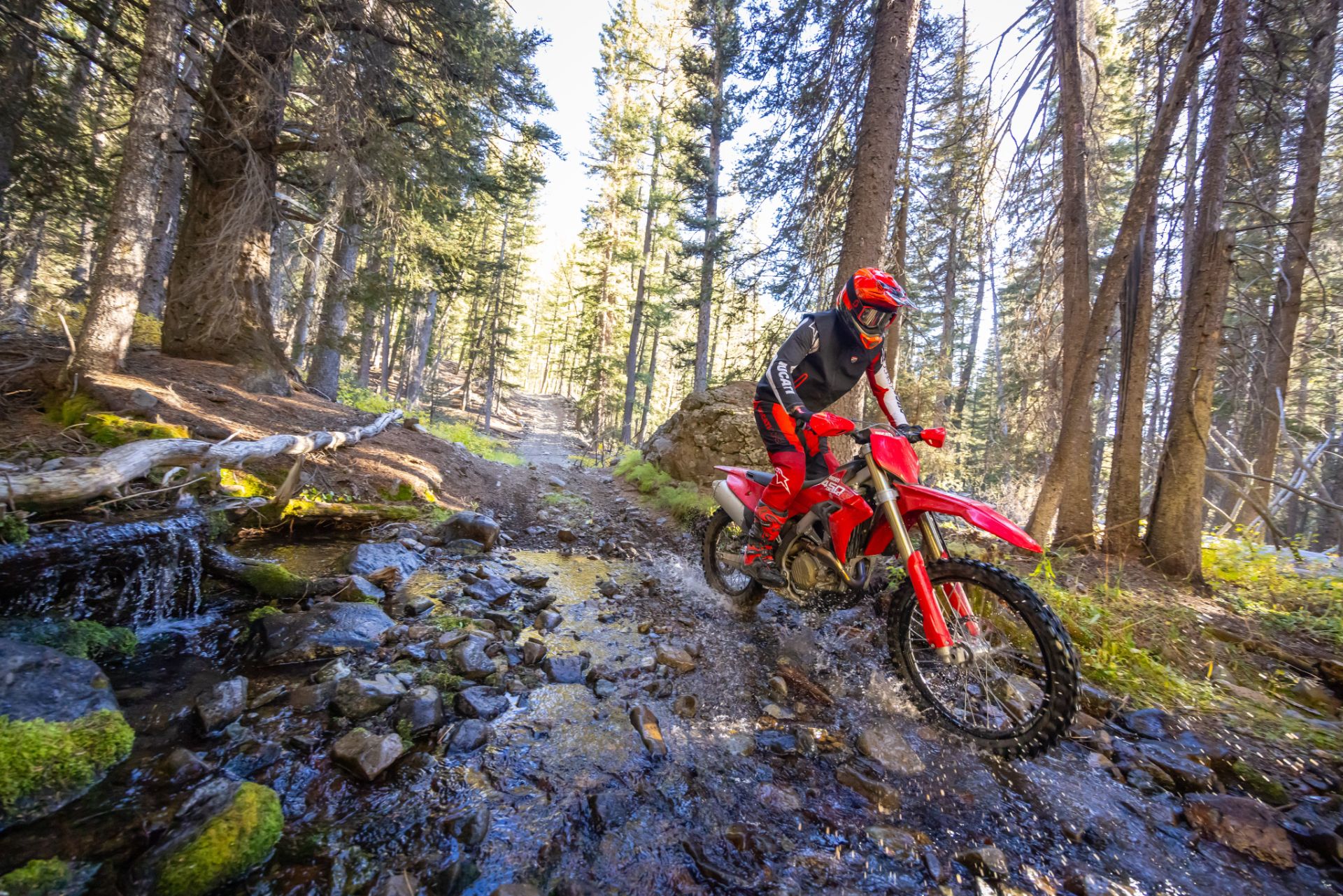 2026 Ducati Desmo450 EDX in Portland, Oregon - Photo 5