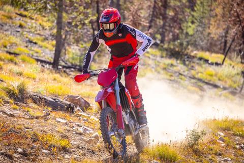 2026 Ducati Desmo450 EDX in Portland, Oregon - Photo 6