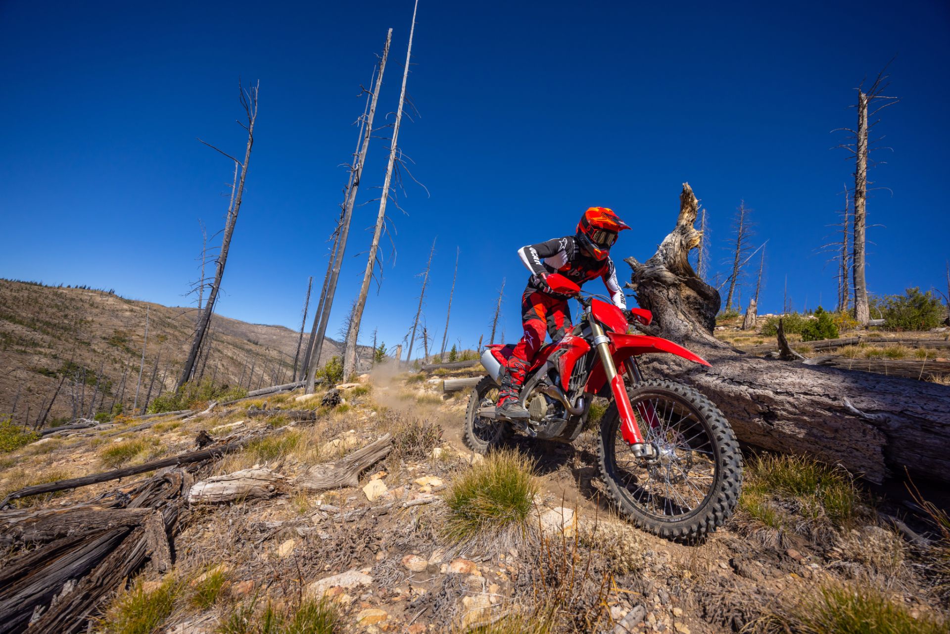 2026 Ducati Desmo450 EDX in Portland, Oregon - Photo 10
