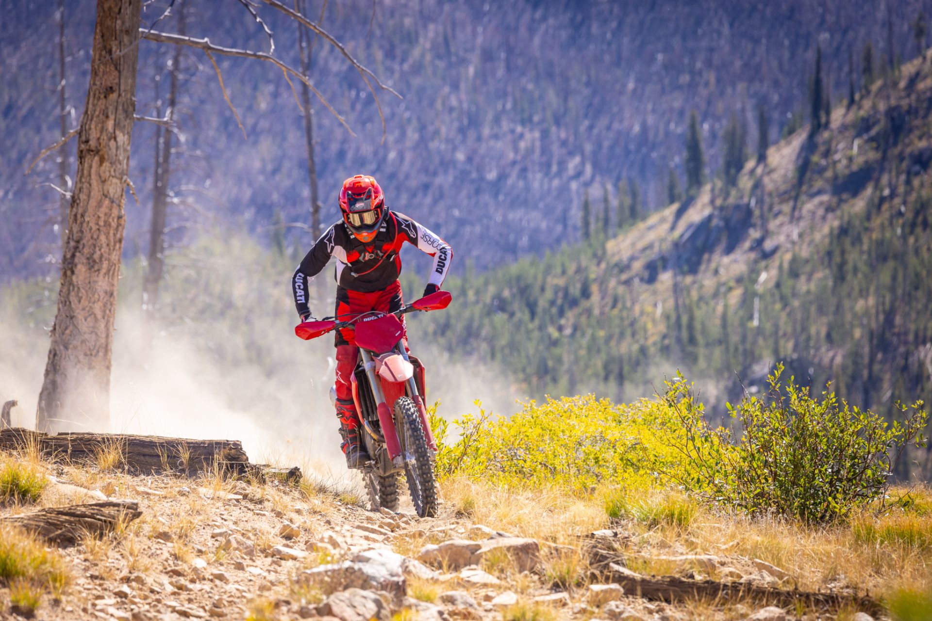 2026 Ducati Desmo450 EDX in Portland, Oregon - Photo 11