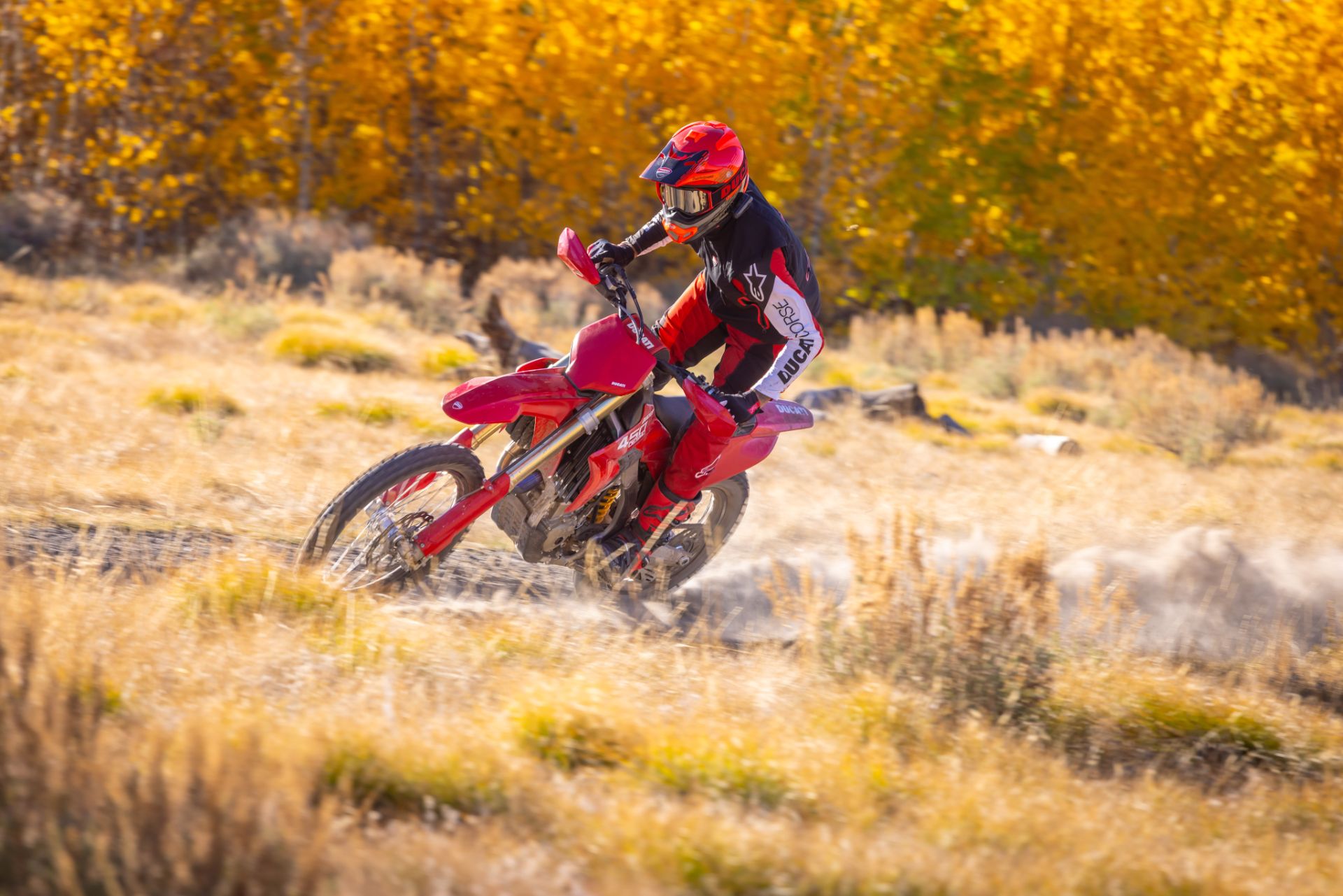 2026 Ducati Desmo450 EDX in Portland, Oregon - Photo 15