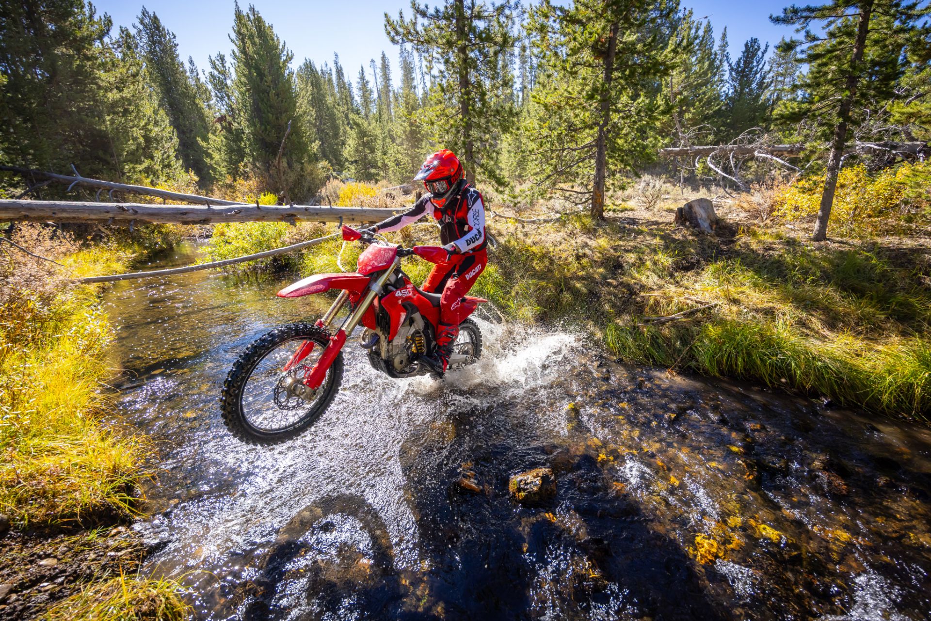 2026 Ducati Desmo450 EDX in Portland, Oregon - Photo 19