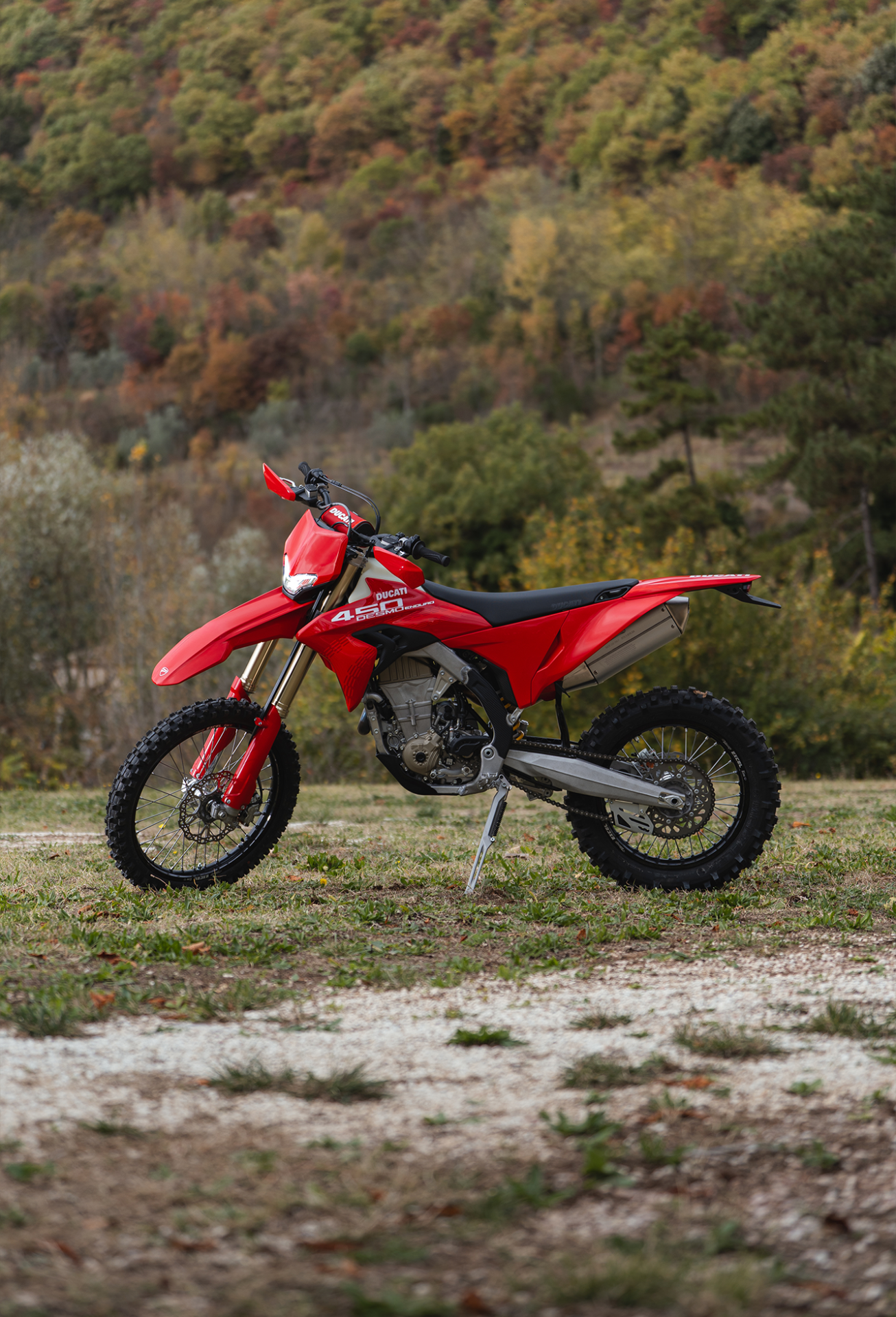 2026 Ducati Desmo450 Enduro in Portland, Oregon - Photo 14