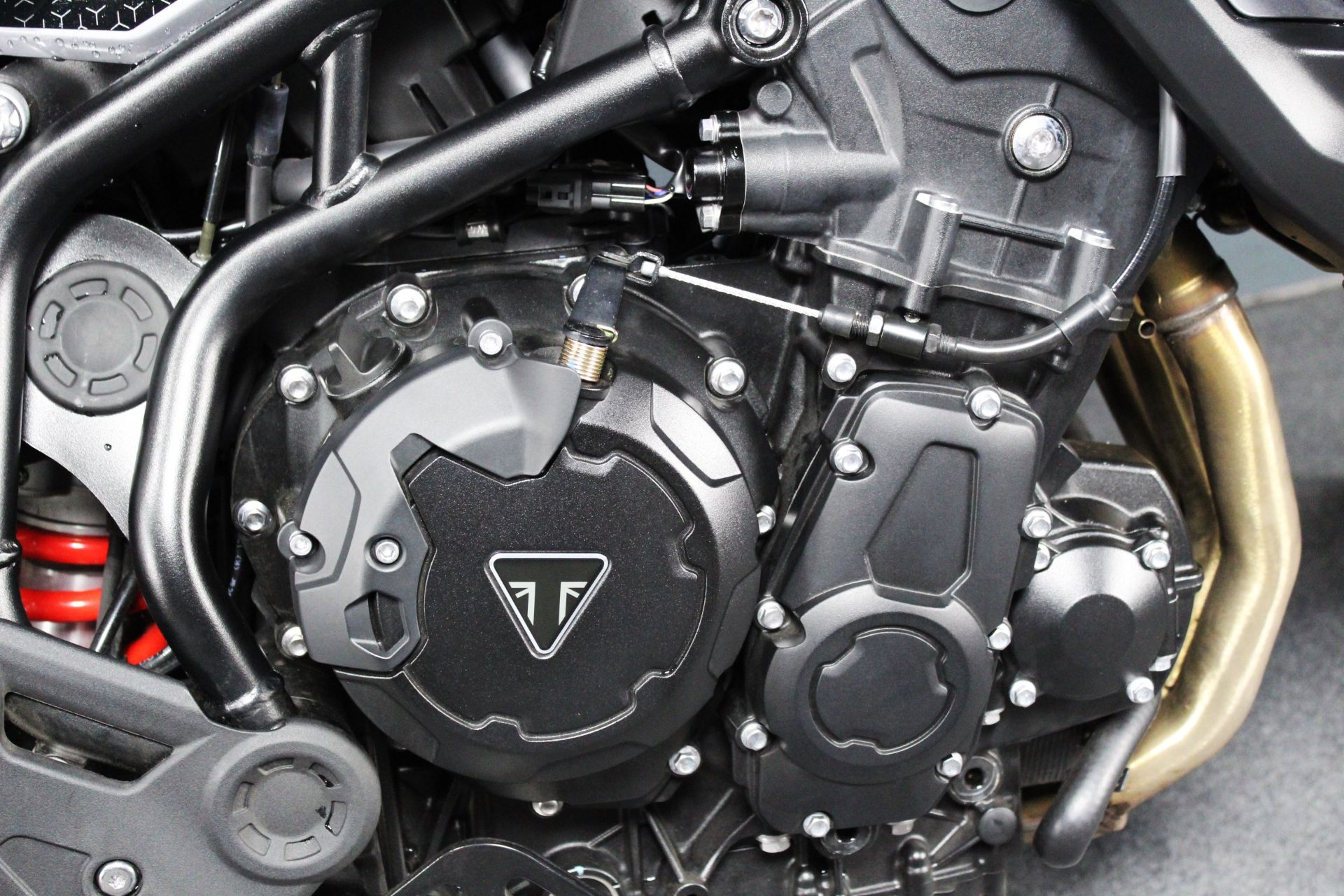 2024 Triumph Tiger 900 GT Pro in Portland, Oregon - Photo 11