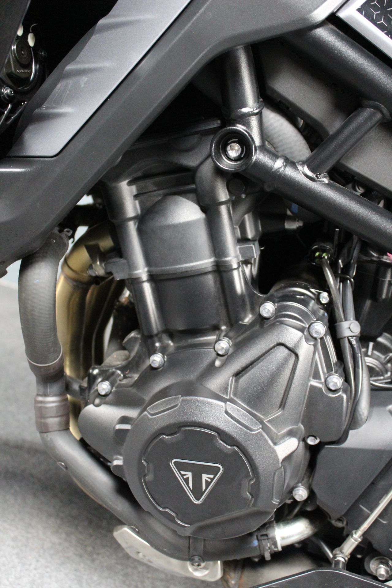 2024 Triumph Tiger 900 GT Pro in Portland, Oregon - Photo 12