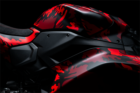 2026 Ducati Panigale V2S Pecco Edition in Portland, Oregon - Photo 16