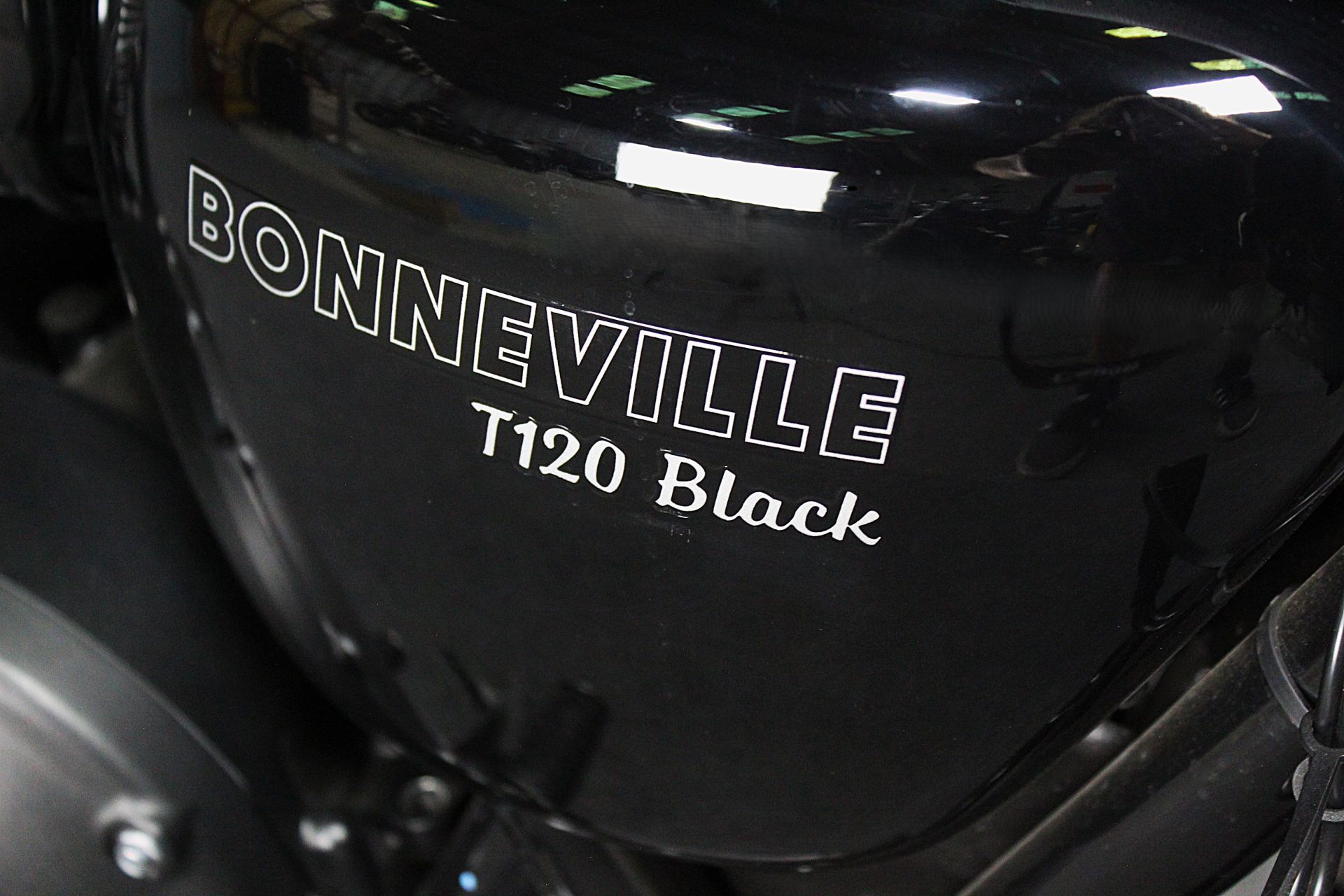 2024 Triumph Bonneville T120 Black in Portland, Oregon - Photo 6