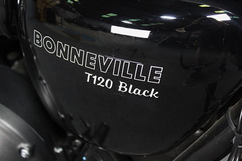 2024 Triumph Bonneville T120 Black in Portland, Oregon - Photo 6