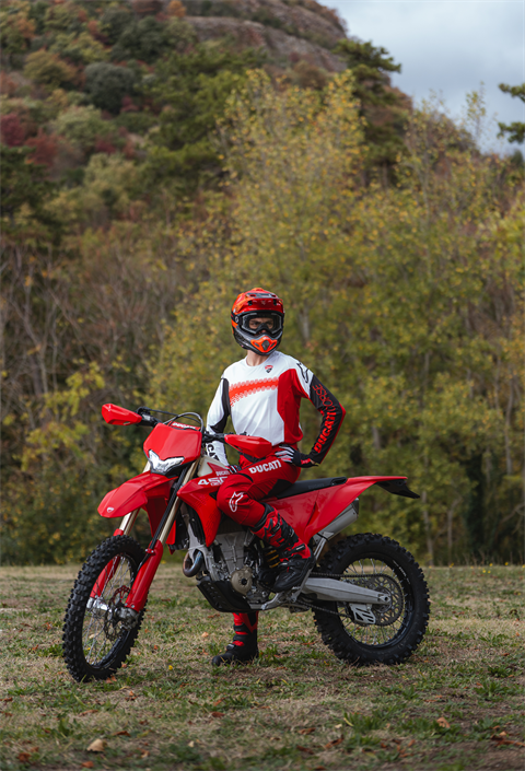 2025 Ducati Desmo450 Enduro in Portland, Oregon - Photo 15