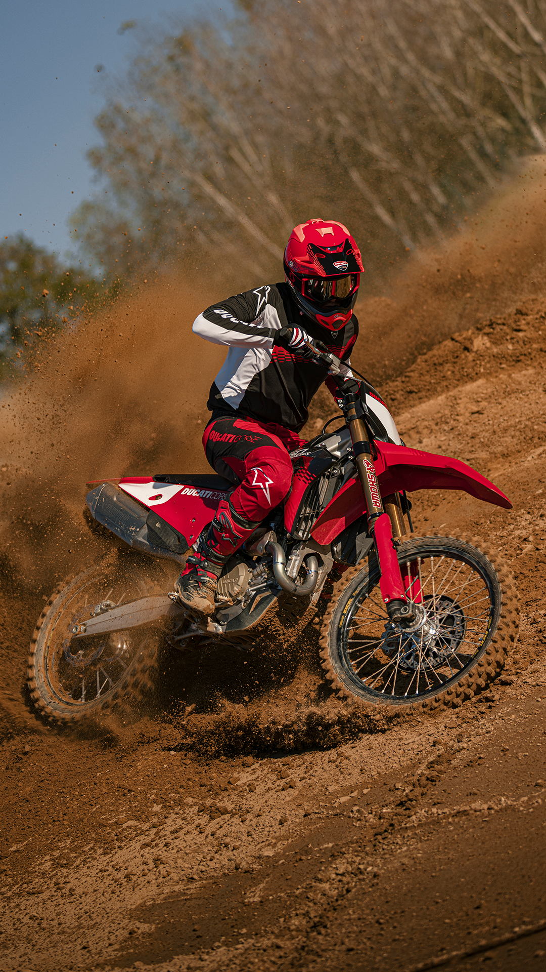 2026 Ducati Desmo450 Mx Factory in Portland, Oregon - Photo 30