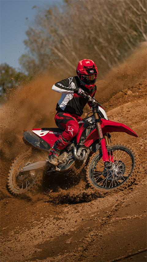 2026 Ducati Desmo450 Mx Factory in Portland, Oregon - Photo 30