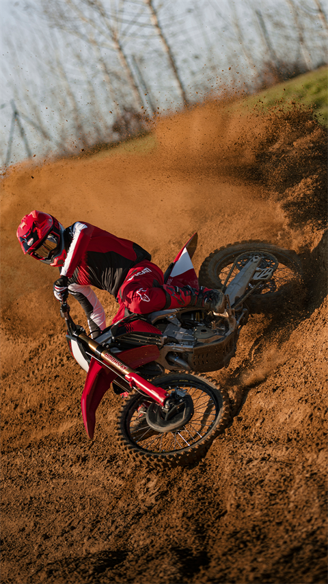 2026 Ducati Desmo450 Mx Factory in Portland, Oregon - Photo 31