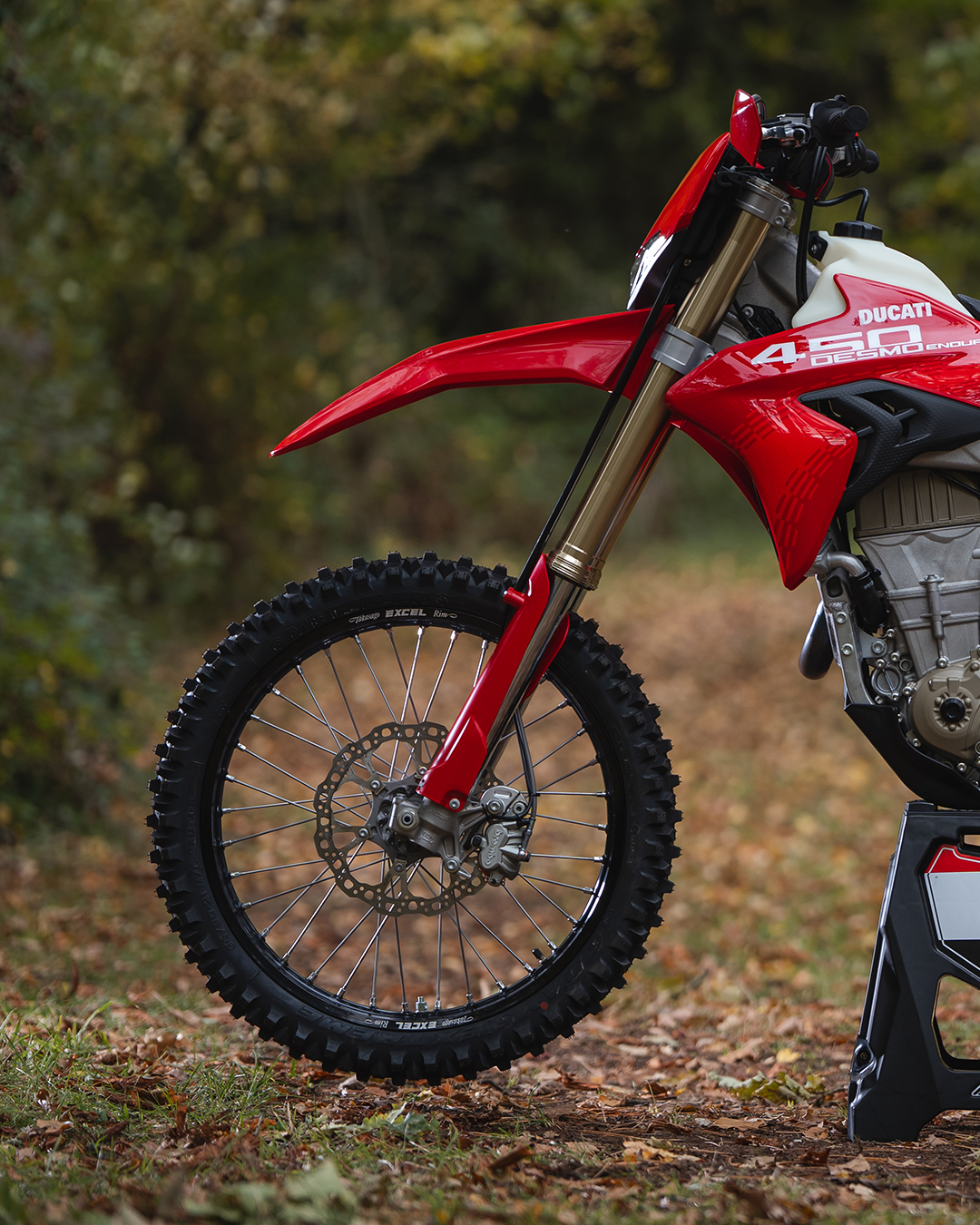 2026 Ducati Desmo 450 EDS in Portland, Oregon - Photo 15