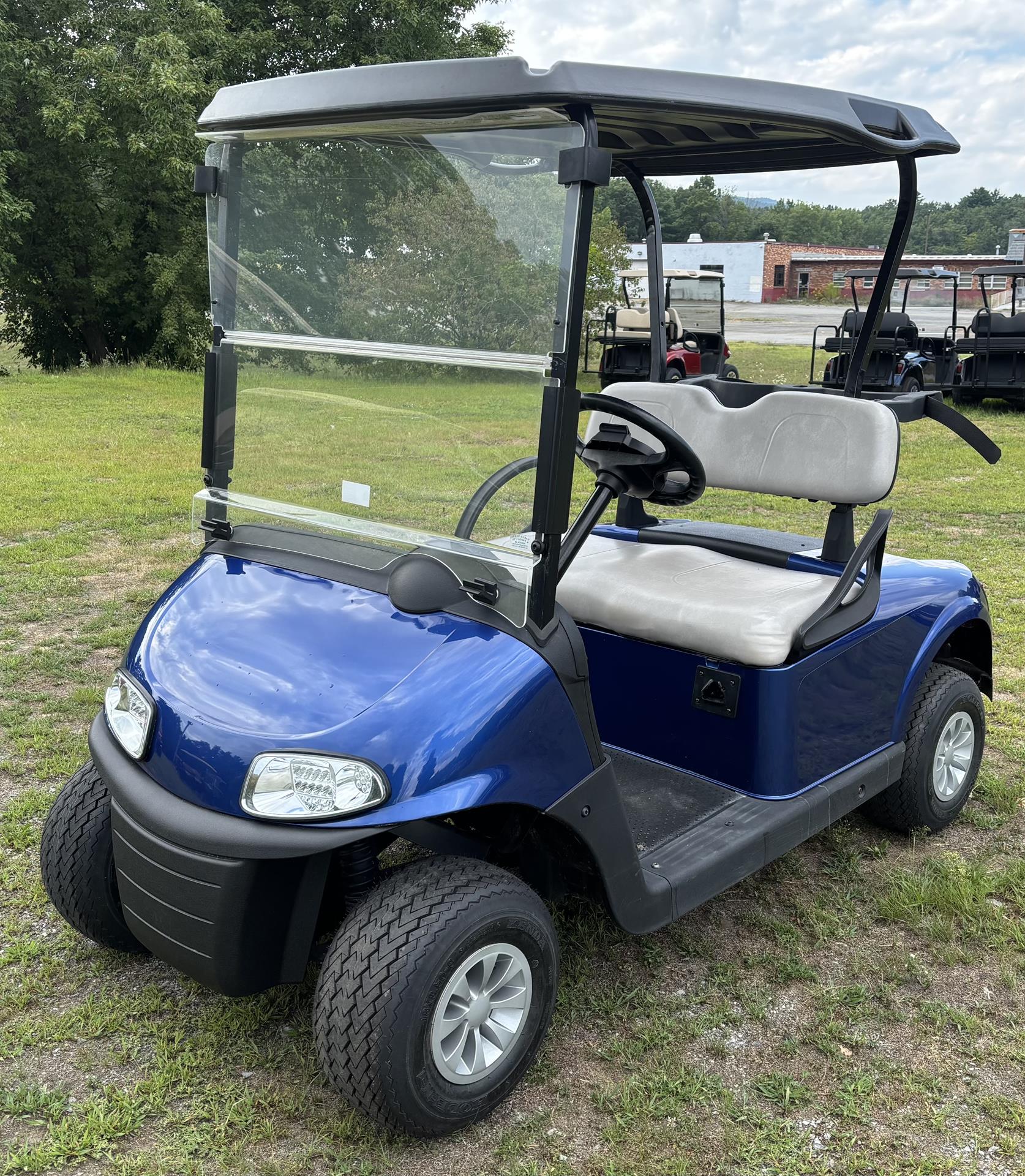 2020 EZGO Freedom photo 6