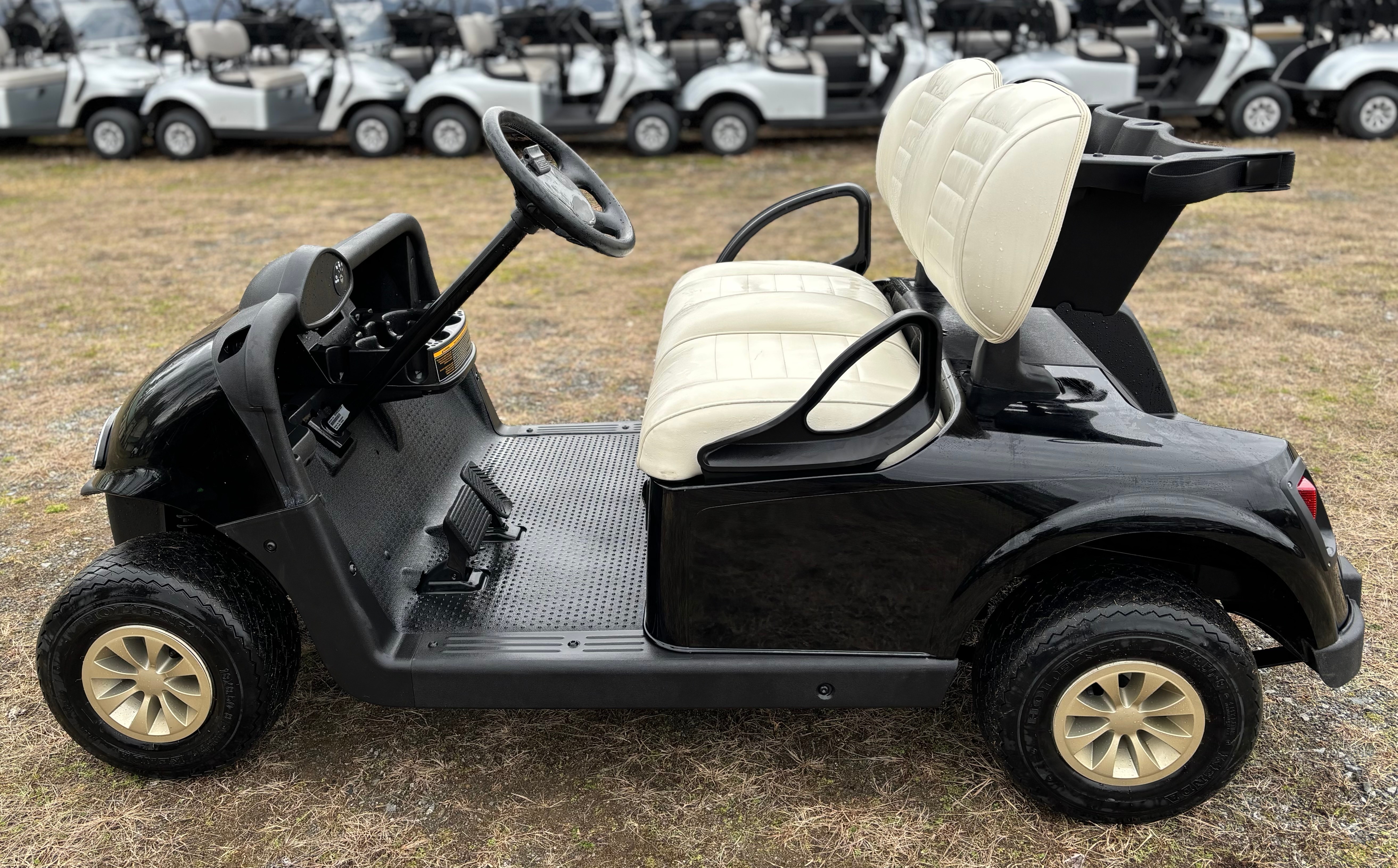 2020 EZGO RXV photo 2