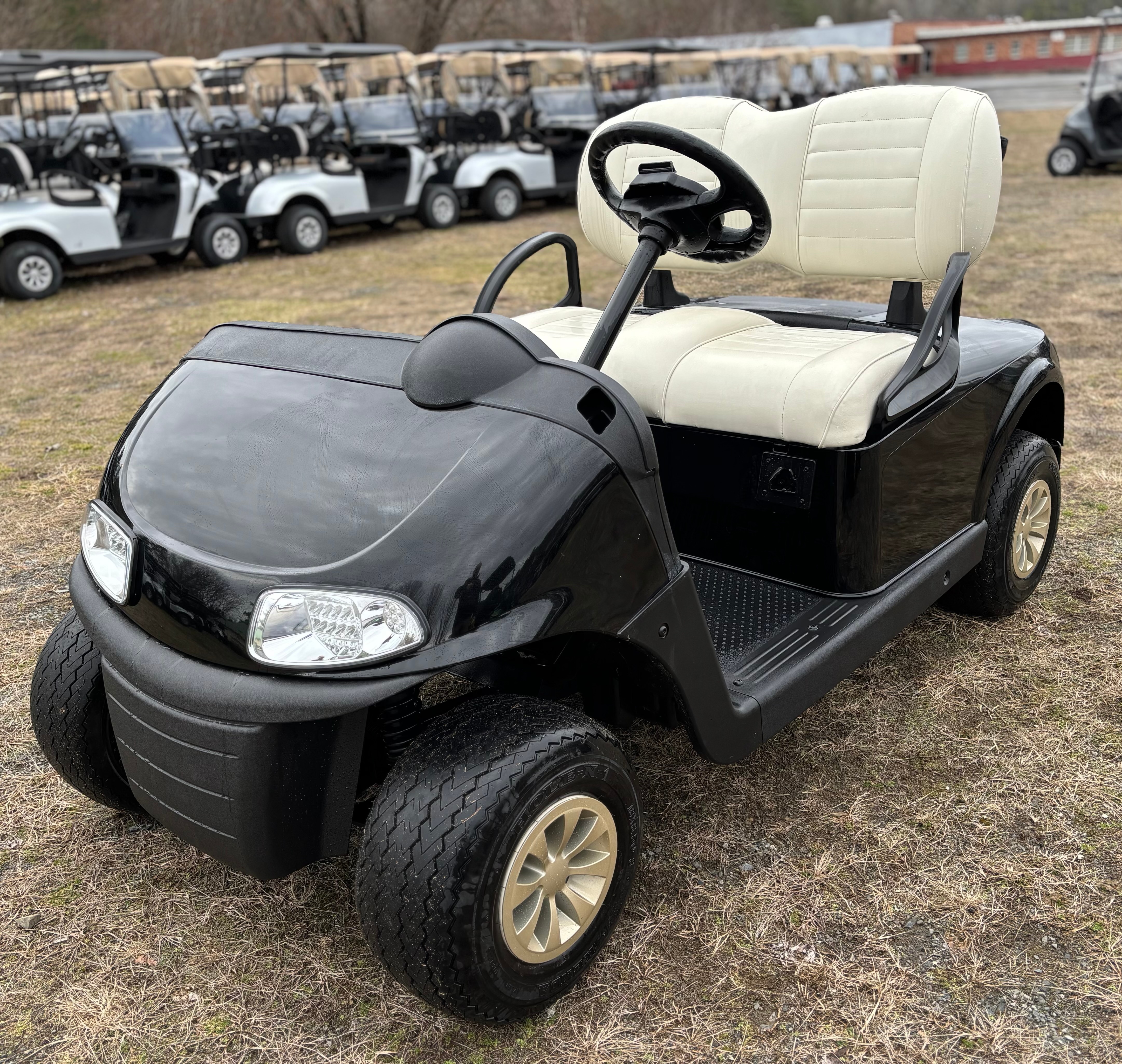 2020 EZGO RXV photo 3
