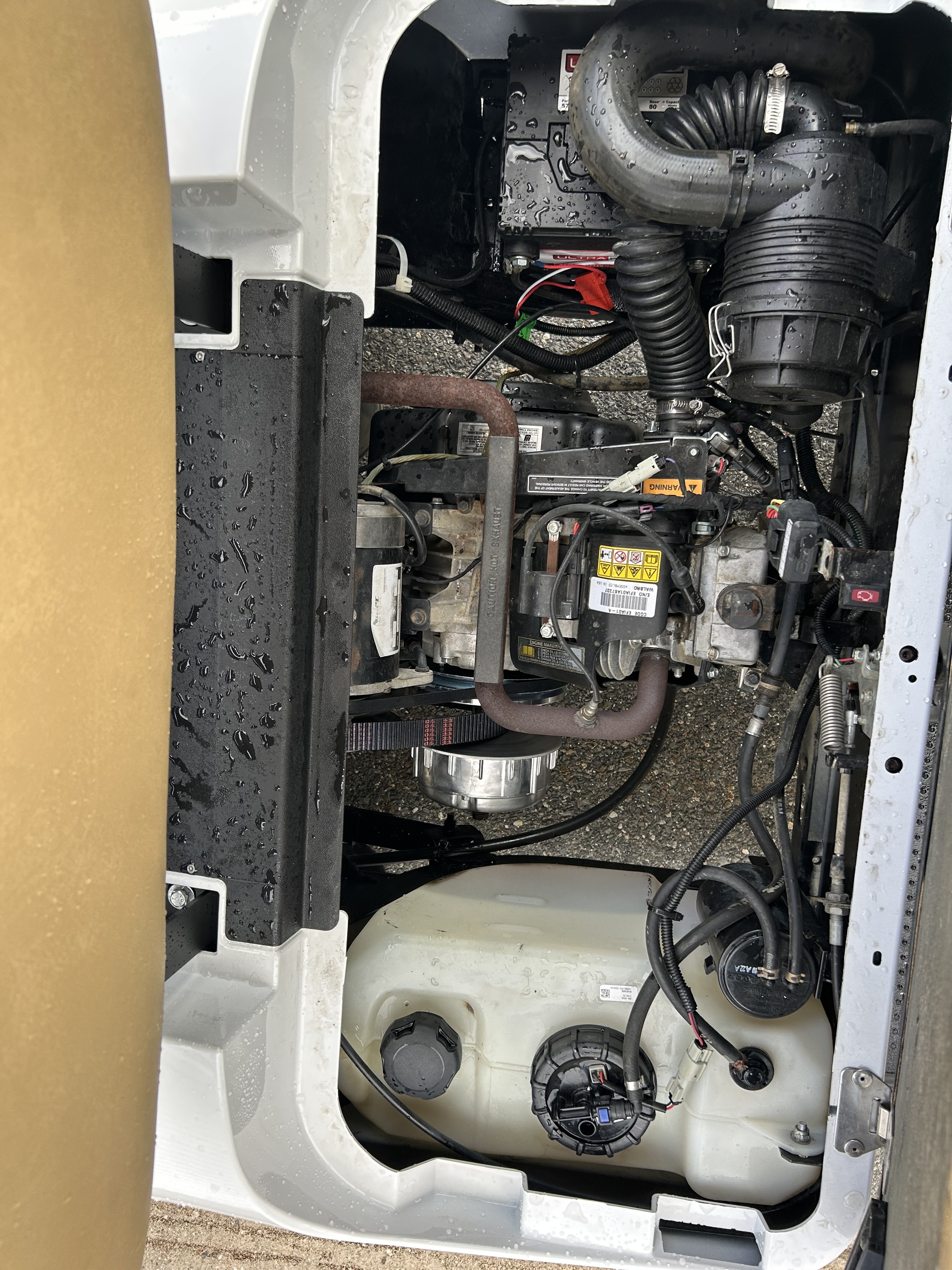 2019 EZGO photo 3