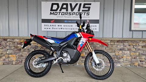 New 2025 Honda CRF300L Rally ABS Motorcycles in Delano MN N/A Red - Main Image