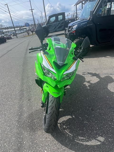New 2025 Kawasaki Ninja ZX-4RR KRT Edition ABS | Motorcycles