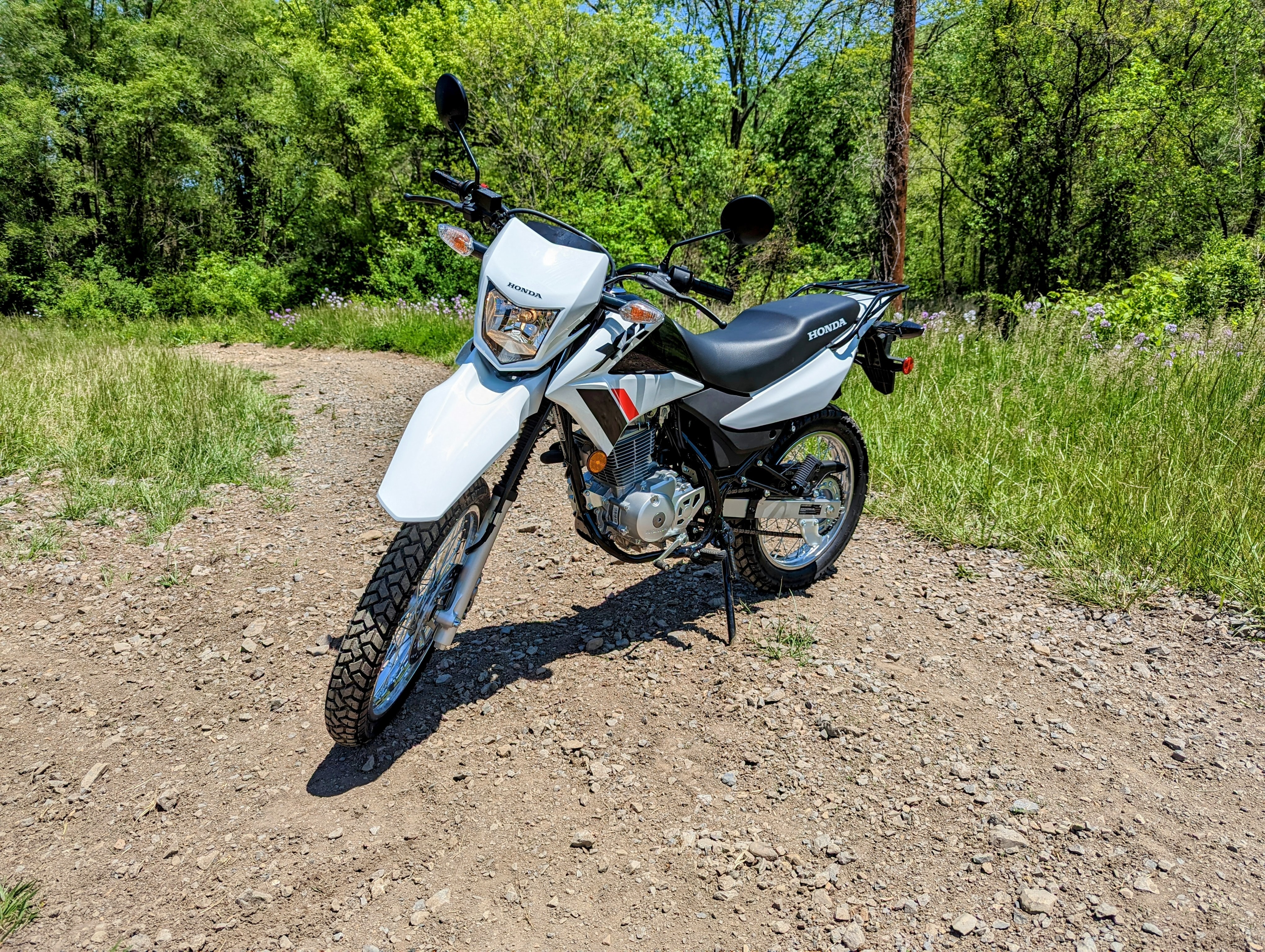 2026 Honda XR150L for sale 1191623