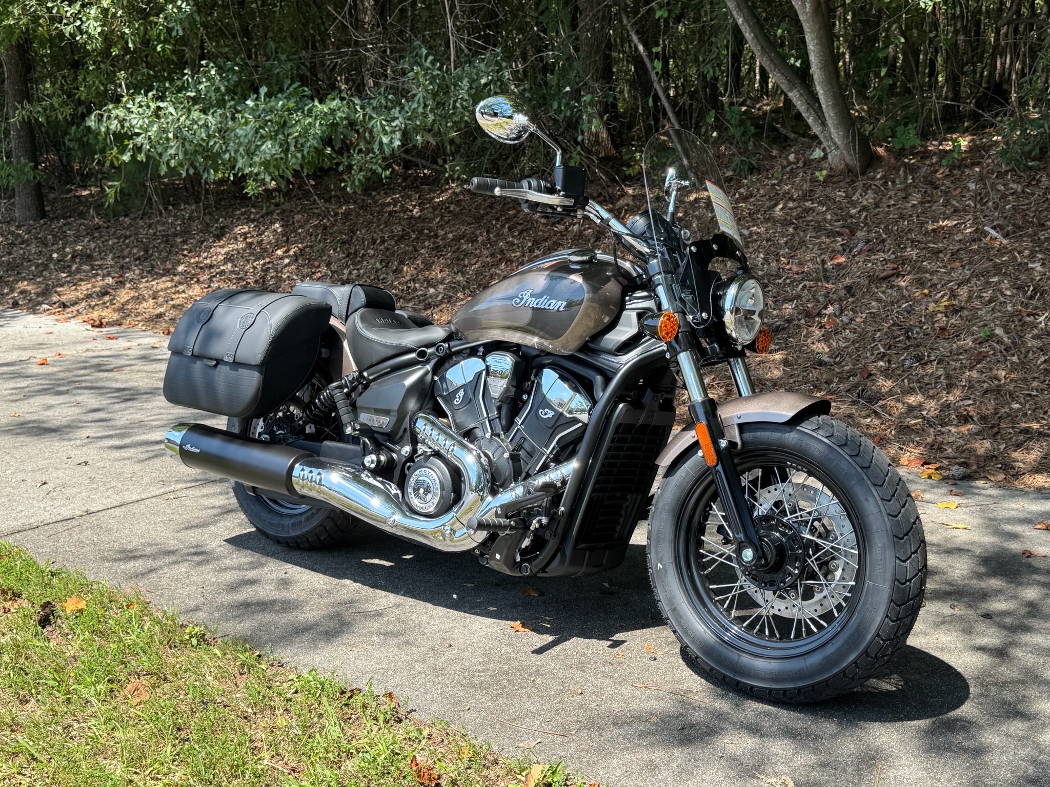 2026  Super Scout for sale 1247644