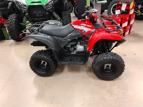 ATVs For Sale: Inventory at Village Motorsports, Unionville VA