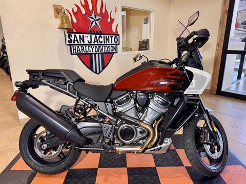 2024 Harley-Davidson Pan America® 1250 Special in Pasadena, Texas