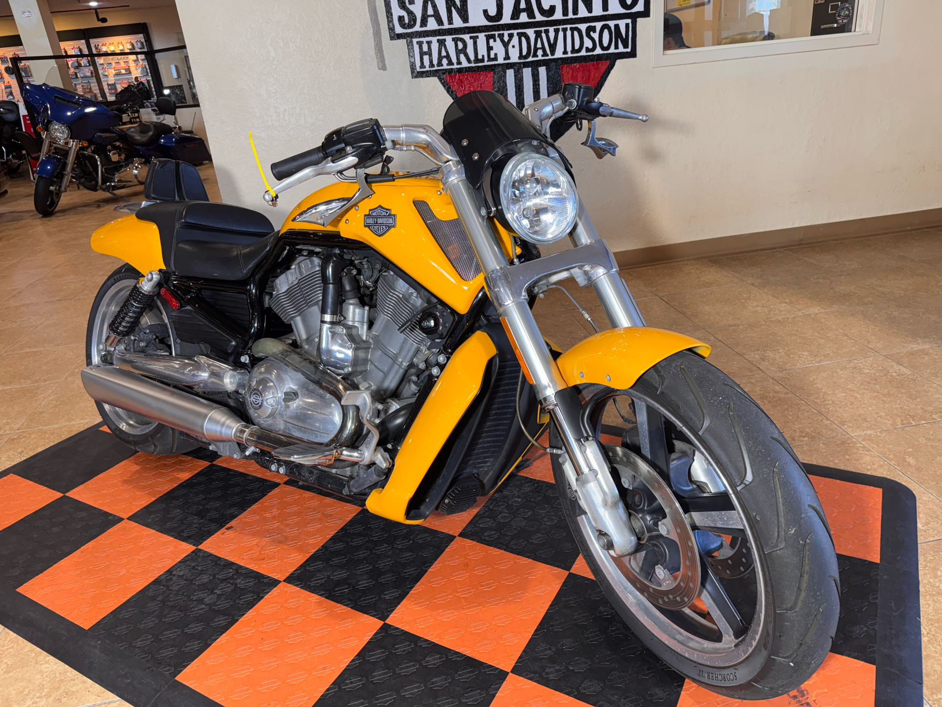 2011 Harley-Davidson V-Rod Muscle® in Pasadena, Texas - Photo 3