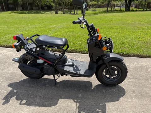 2012 Honda Ruckus® in Houston, Texas - Photo 3