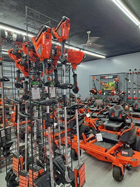 Echo DSRM-2100C1 in Gaylord, Michigan - Photo 1