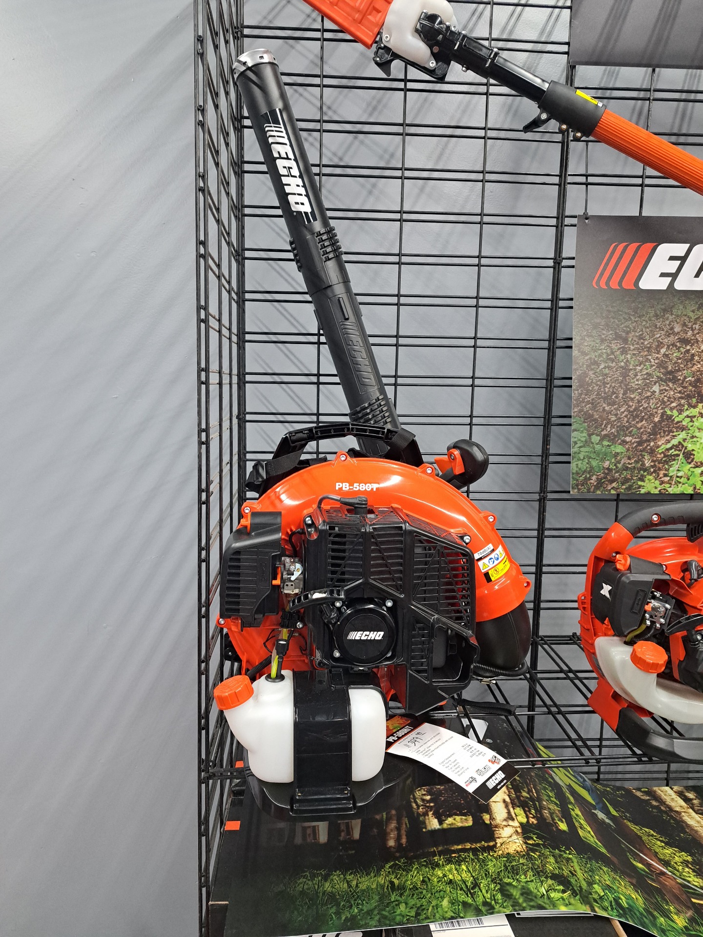 Echo PB-580T in Gaylord, Michigan - Photo 1