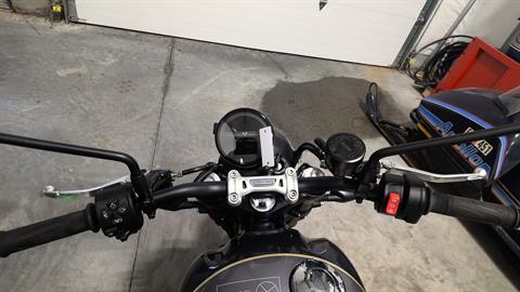 New 2025 Triumph Speed Twin 900 Phantom Black / Aurum Gold