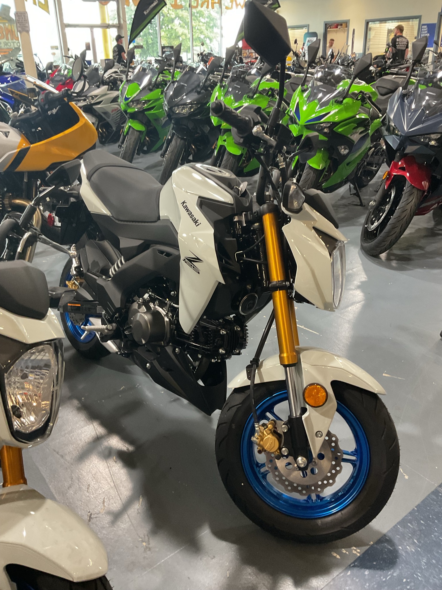 2026 Z125 Pro