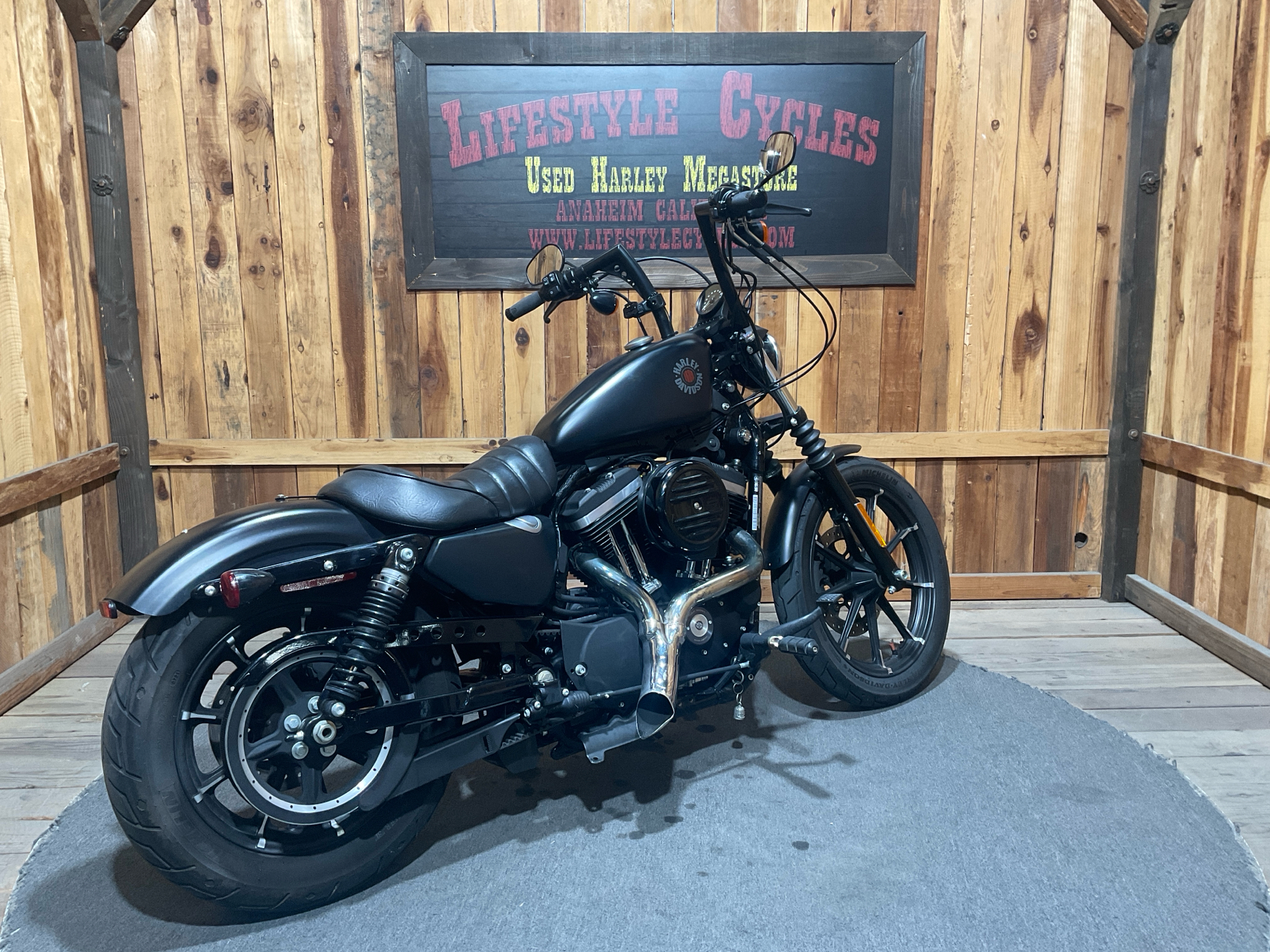 Snake Venom Harley Davidson Sportster 883 2021 Used 2021 Harley