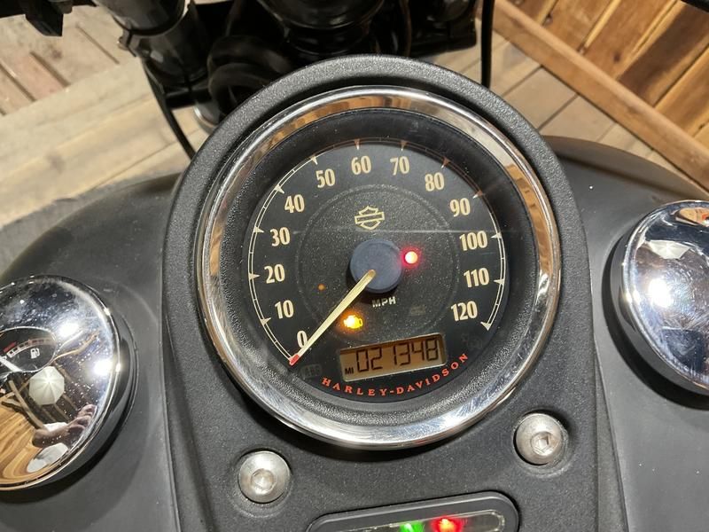 2015 Harley-Davidson Street Bob® 10