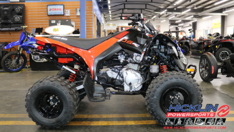 2026 Can-Am DS 250 — photo 1 of 13