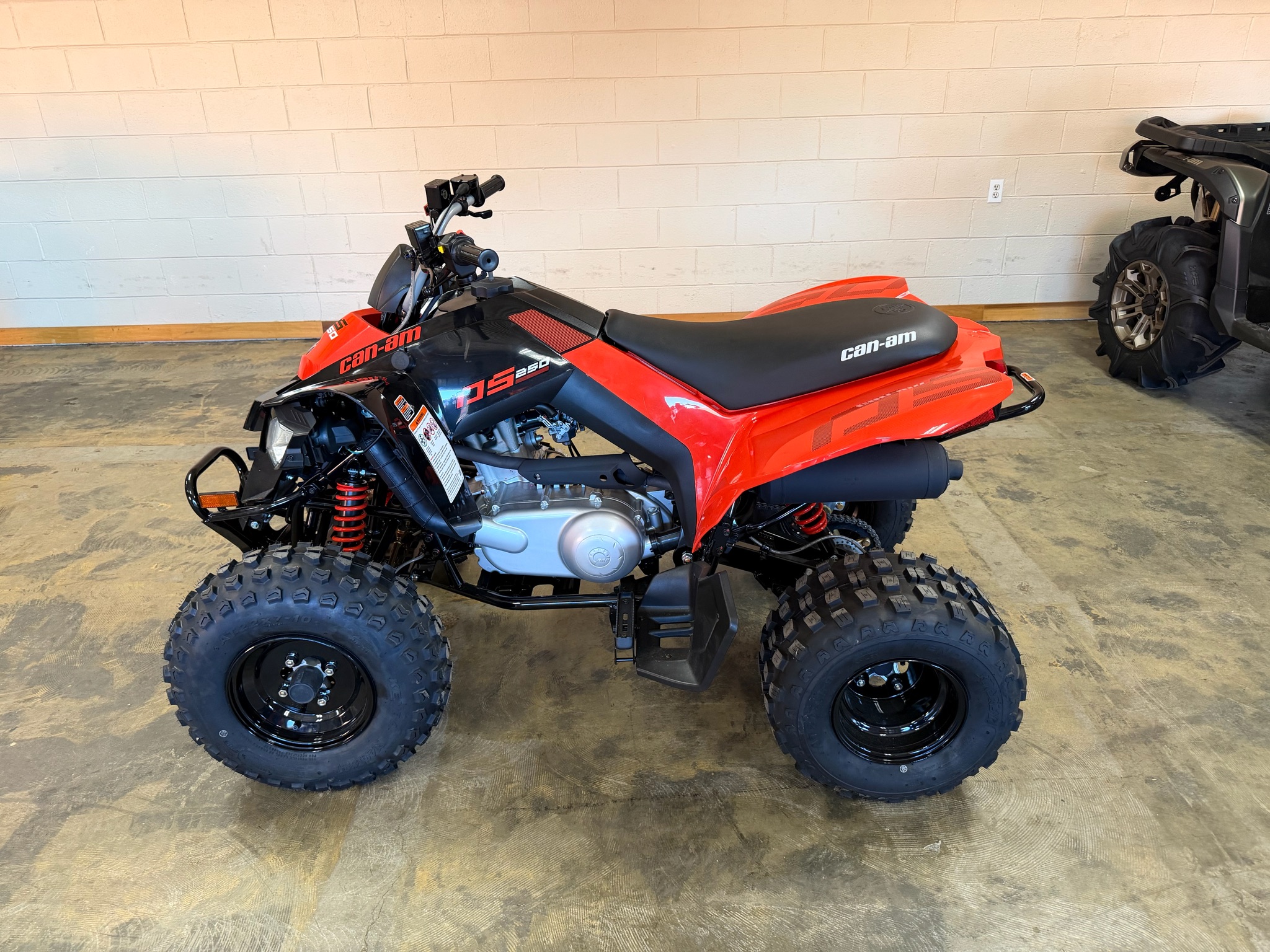 2026 Can-Am DS 250 for sale 1216490