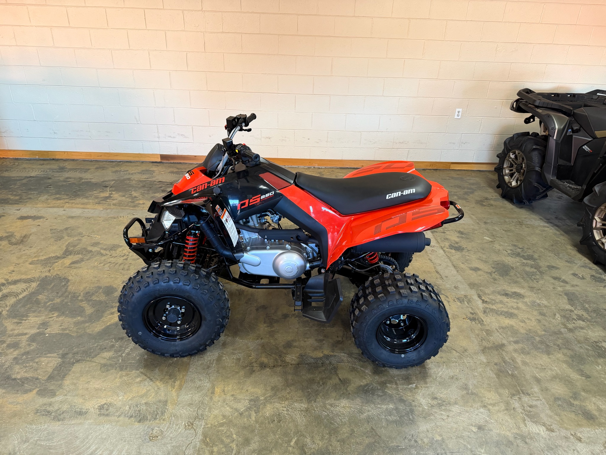 2026 Can-Am DS 250 for sale 1257510