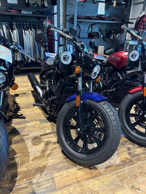 Sportster Harley Davidson Indian Scout New 2025 Indian Motorcycle