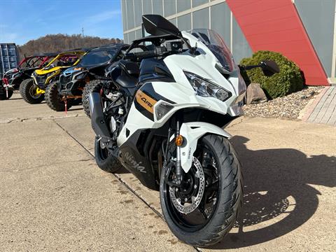 白ワレ12/6 23:59まで FCD374A0-8F06-416B-A80E-