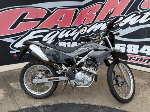 2023 Kawasaki KLX 230 S ABS