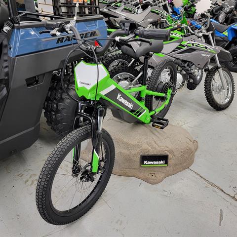 New 2025 Kawasaki Elektrode® 20 Lime Green | Electric Bicycles in