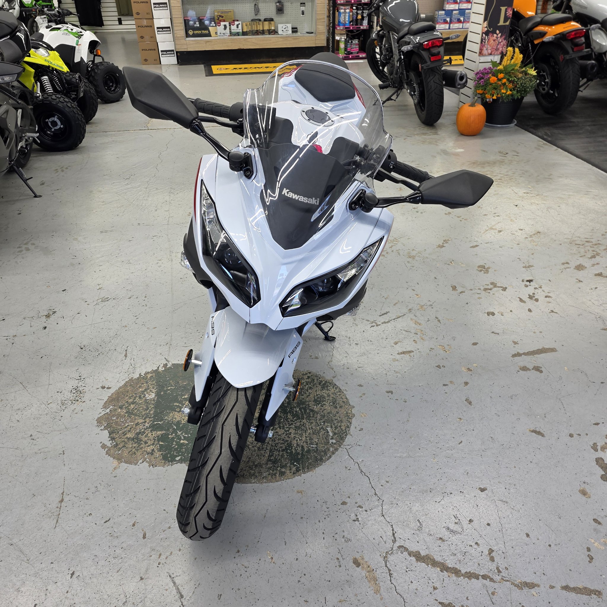 2026 Kawasaki Ninja® 300 ABS 2