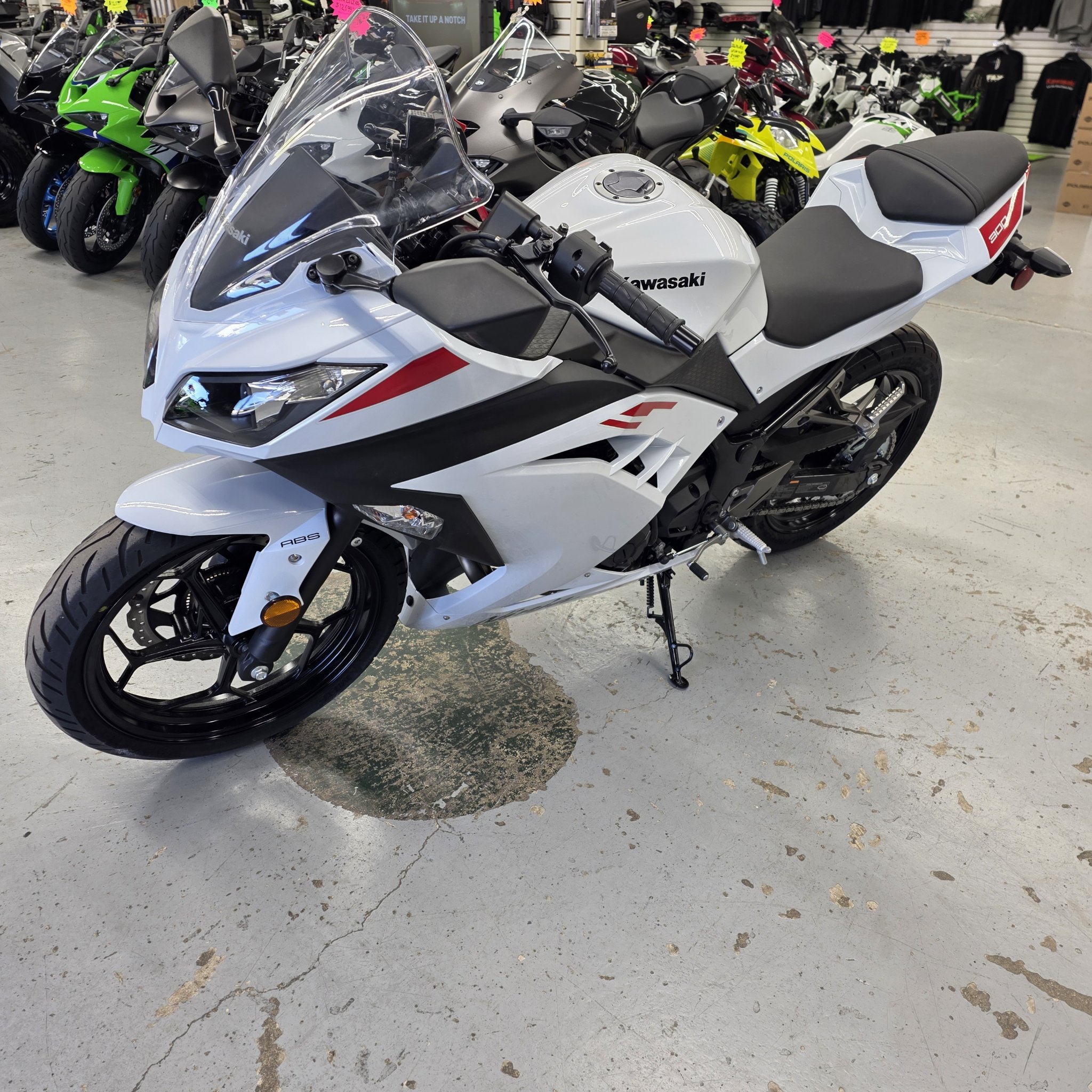 2026 Kawasaki Ninja® 300 ABS 3