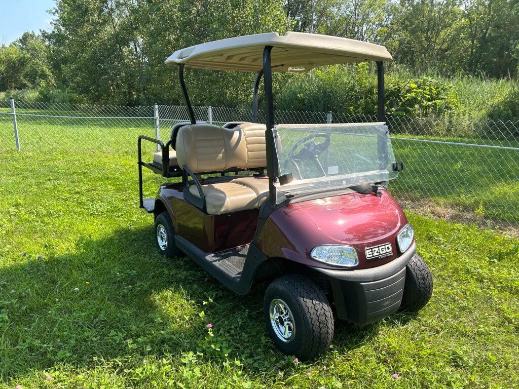 2019 EZGO Freedom