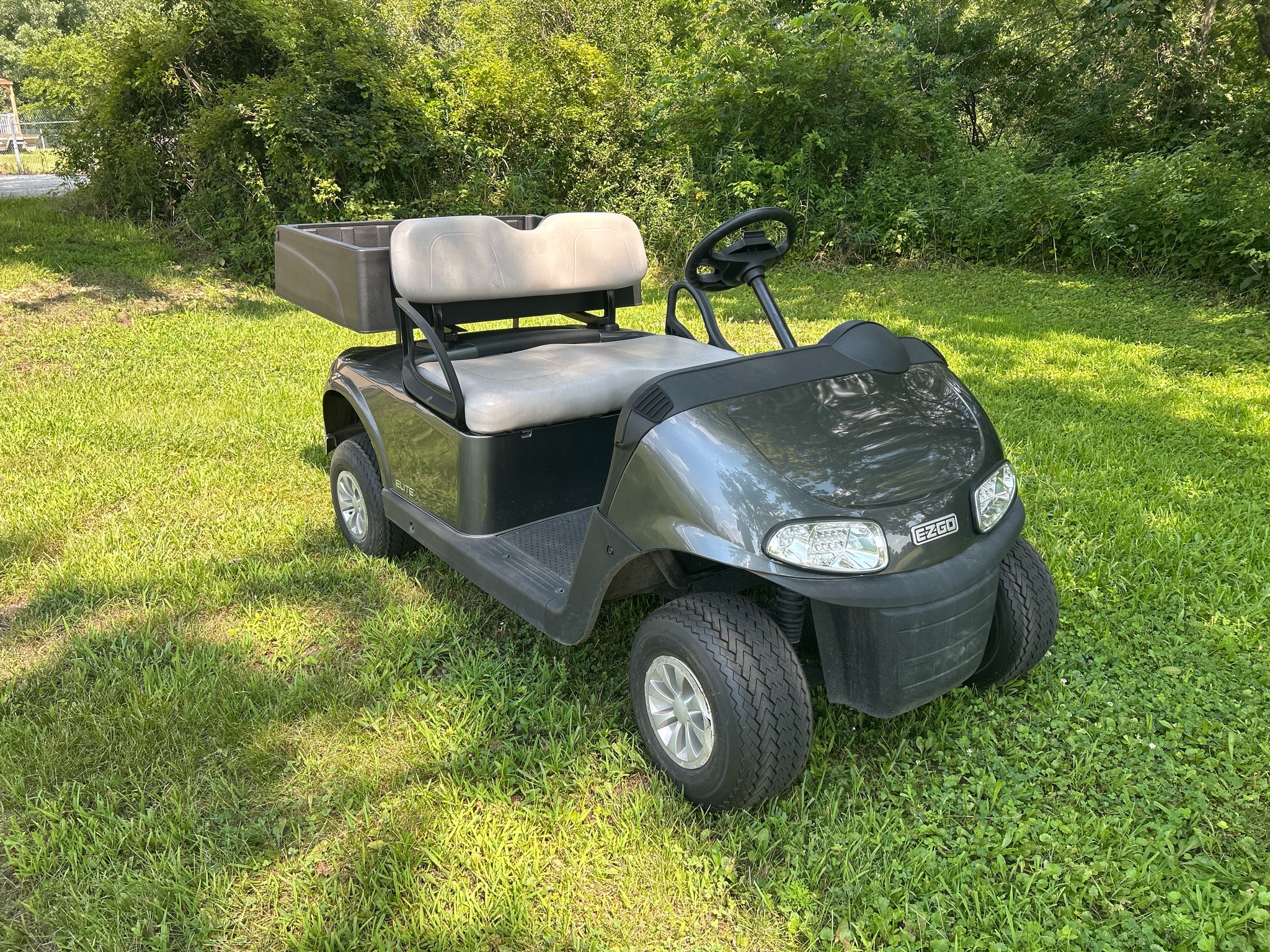 2021 EZGO Freedom
