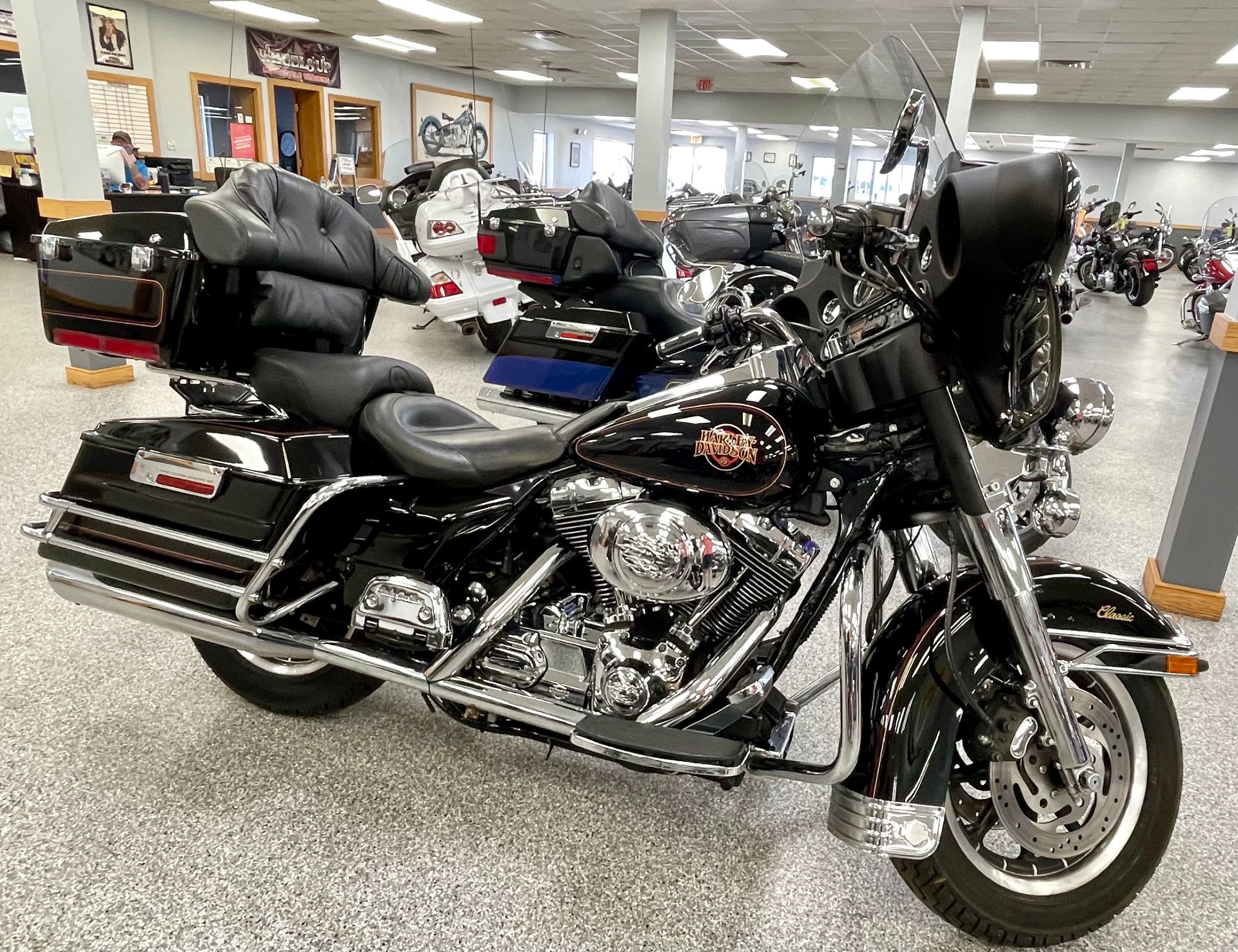Cruiser motorcycles under 2000 | Mattgrangerphotography.com